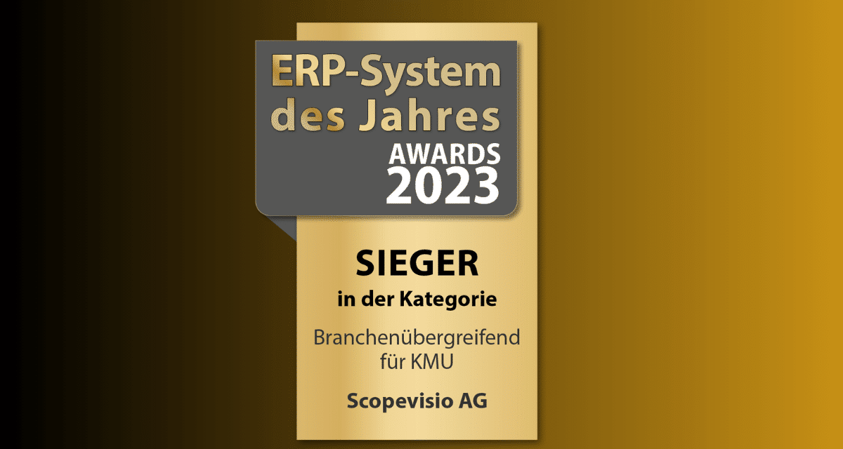 Header Blog ERP System des Jahres 2023